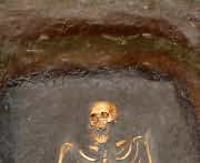 Viking bones