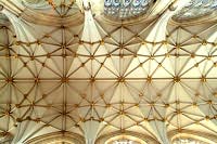 Quire ceiling