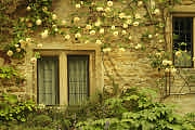 Burford cottage