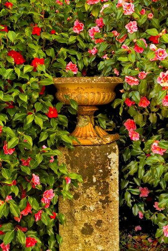 Pencarrow garden statuary
