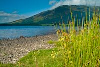 Bassenthwaite Lake