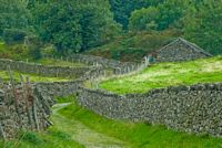 The trail rises through farmland, betwen stone walls