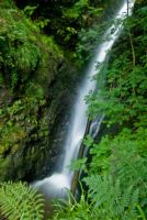 Spout Force Waterfall