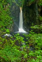 Stanley Ghyll Force Waterfall