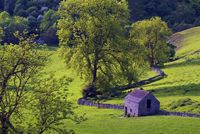 Dovedale, Derbyshire Peak District
