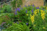 Gardens at Hardwick Hall