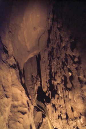 Peak Cavern