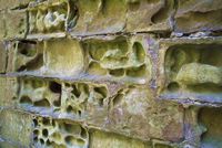 Stone wall in the keep