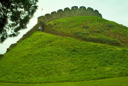 Totnes Castle