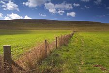 This view gives some idea of the enormous size of Maiden Castle. Approached from Dorchester, the effect is quite staggering.
