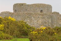 Camber Castle