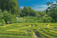 The maze at Painswick
