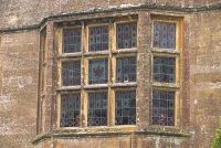 Tudor window