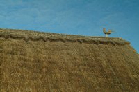 Thatched cottages abound. Here is one with an ornamental bird atop the ridge.