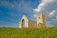 Burrow Mump