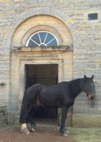 The stables at Ragley