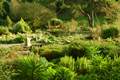 Ventnor Botanic Garden