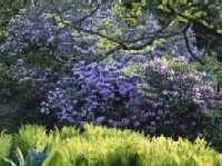 RHS Garden Harlow Carr