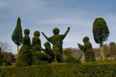 Fanciful topiary in the formal gardens