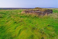 Brough of Deerness
