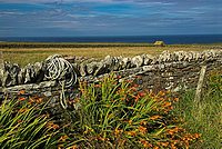 Longaglebe, near Birsay