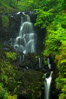 Fairy Knowe, Aberfoyle