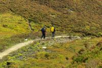 Walkers on the trail