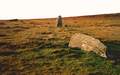 Waun Mawn