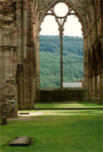 Tintern