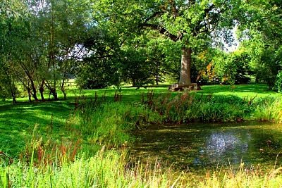 Westonbirt Arboretum Image Gallery - Dew Pond