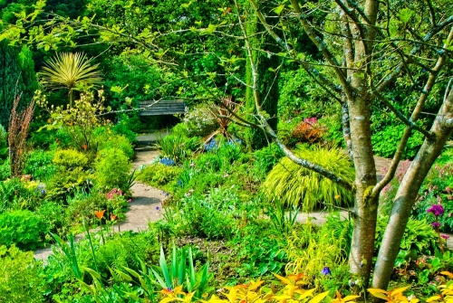 Ascog Hall Garden and Victorian Fernery, Bute